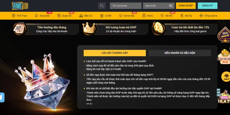 Điều kiện chuẩn khi áp dụng chương trình khuyến mãi VIP